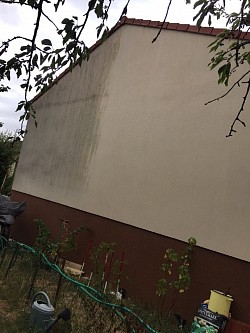 Traitement sans rinçage pignon