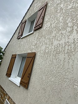 Nouveau crepis écrasé