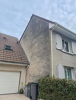 Avant Traitement curatif & nettoyage pignon